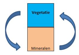 Figuur 14 Eenvoudige voedselkringloop Detaillering is mogelijk door de dieren op te delen in herbivoren, omnivoren en carnivoren. Dan ontstaat al gauw een voedselpiramide.