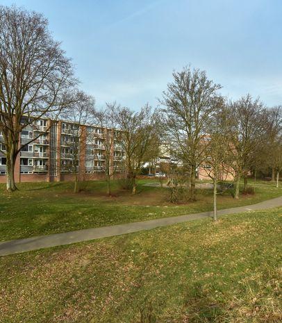 Basisscholen, winkels, recreatiegebied De Oosterplas met Hockeyclub Den Bosch en een tennisvereniging liggen op korte afstand.