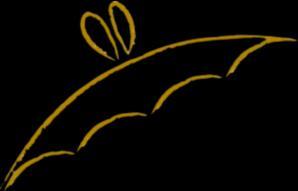 Cursus Vleermuisvangen Onderzoek naar zwermgedrag voor Mergelgroeven Schin op Geul Do 12 t/m Zo 15 september 2019 Van donderdagmiddag 12 september tot zondagmiddag 15 september organiseren Stichting