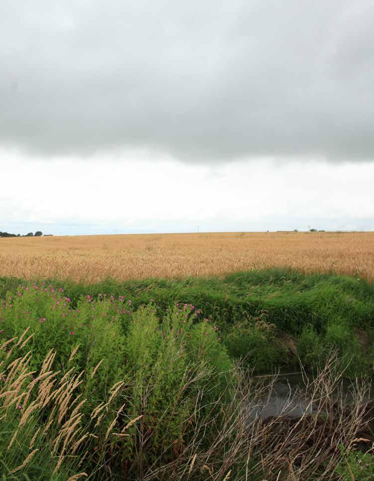 Vlaanderen is landbouw & visserij VLIF ACTIVITEITENVERSLAG