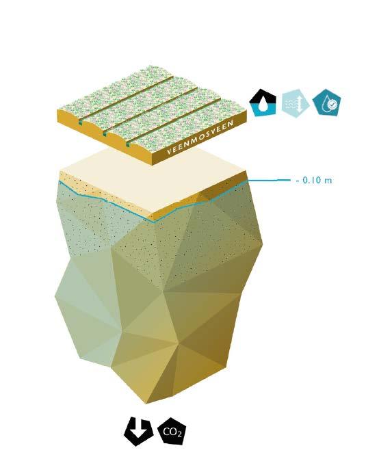 Ontwerpend onderzoek Groene Hart Bouwstenen voor reductie bodemdaling en CO2 uitstoot Peil 10 cm onder maaiveld