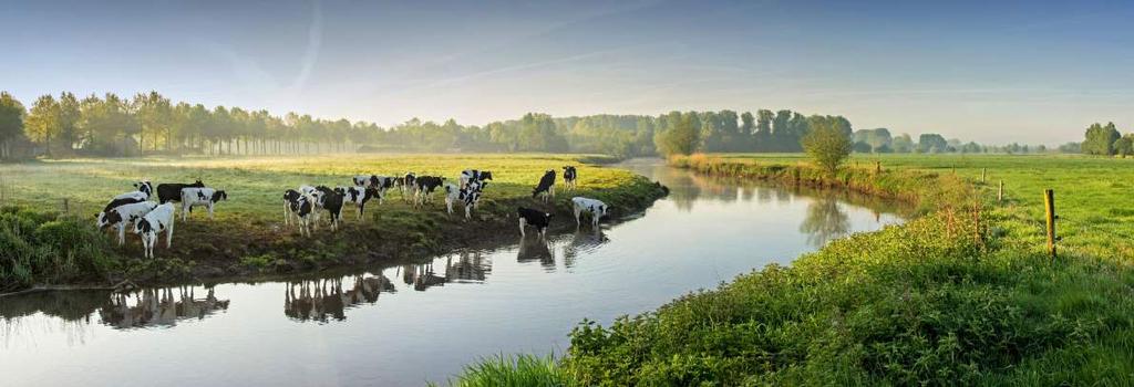 De uitdagende positie van Meierijstad schept verplichtingen en daagt uit. De nieuwe gemeente staat voor grote kansen en mogelijkheden om zich te positioneren op regionaal en (inter)nationaal niveau.