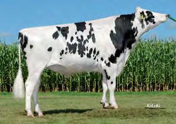 Candlelight P Red 2y VG-86 G.