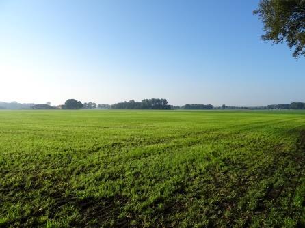 Westelijke begrenzing van de onderzoekslocatie. Figuur 7.