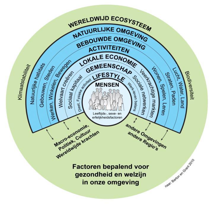 Positieve Gezondheid: Het bevorderen van veerkrachtig en