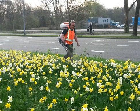 Het is belangrijk om organische meststoffen toe te voegen aan uw geplante bloembollen om het beste rendement te behalen qua resultaat