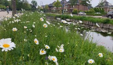 strijd aangaat met behulp van (bij voorkeur) natuurlijke vijanden.