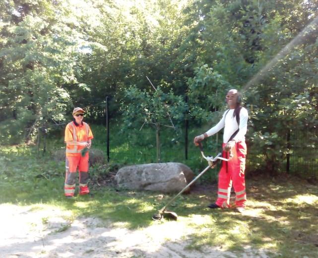 roostervrije dag, alle leerlingen vrij 14 juni: 17.00 uur Olivijn festijn Week van 3 juli: oudergespreksmiddagen 14 juli: 15.