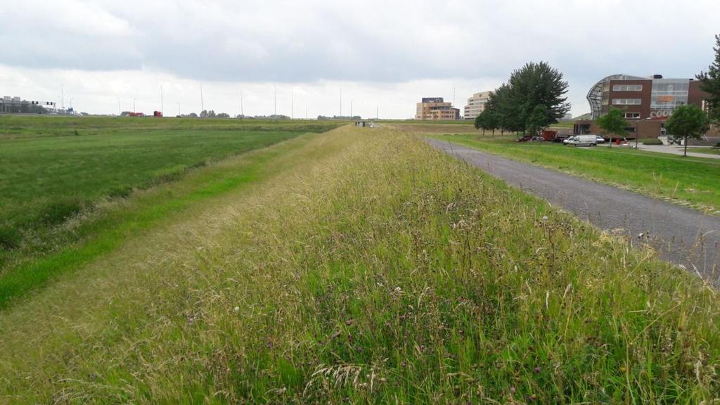 Deze profielen zijn gekozen dicht bij locaties waarvoor het mogelijk is om met Ringtoets/RisKeer Hydraulische Belastingen te berekenen.