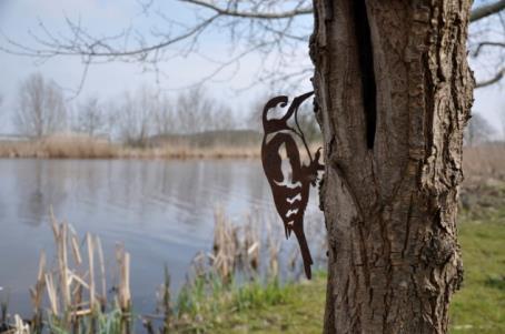 DAUWTRIP Op zondag 5 mei gaan we als vroege vogels een frisse ochtendneus halen in een groene omgeving met moois dat onze streek te bieden heeft. Geen dauwtrip zonder dauw!