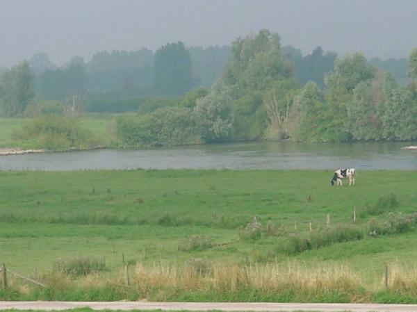 waterbeheer en het uitwerken van de detailanalyse op basis van de resultaten van de globale analyse; Zorgdragers voor integratie van KRW met andere beleidsvelden; wonen, vervoer, economie, landbouw,