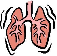 2. Hyperventilatie Wat is hyperventilatie? Hyper = teveel Ventileren = ademen. Hyperventilatie betekent dus eigenlijk teveel ademen.