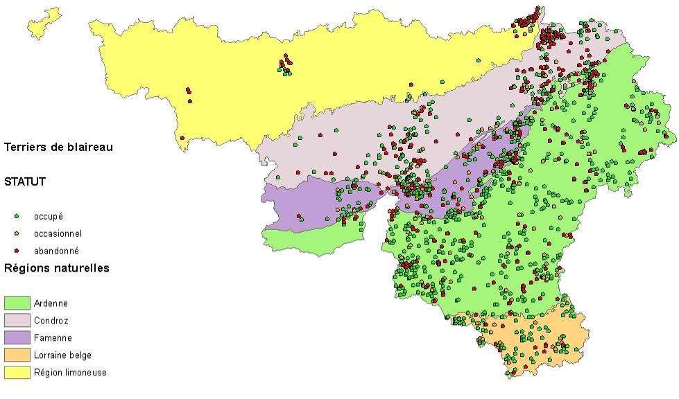 A. 5 de burcht inventarisatie Verspreidingskaart van bekende dassenburchten in Wallonië (2006-2008) en bezetting