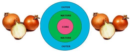 Onion Model Als je een ui opensnijdt zie je verschillende lagen.
