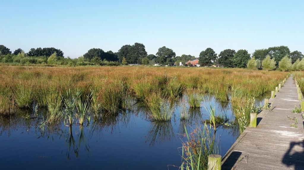 Voorbeeld bedrijventerrein Welkom bij Piet