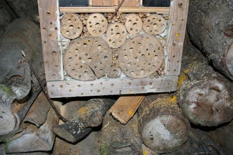 Met een insectenhotel in je tuin kun je ze een handje helpen, naar je tuin lokken en de biodiversiteit