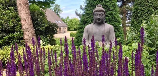 ZATERDAG 15 JUNI OPEN TUIN NATUUR- EN BELEEFTUIN SHAKKEI Wat maakt de natuur- en beleeftuin van Shakkei zo bijzonder? De tuin van Shakkei is volledig dier-, vogel- en vlindervriendelijk.