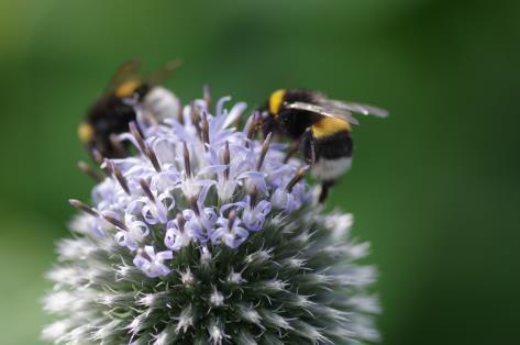 Een strak en speels lijnenspel met een natuurlijk en landelijk karakter.