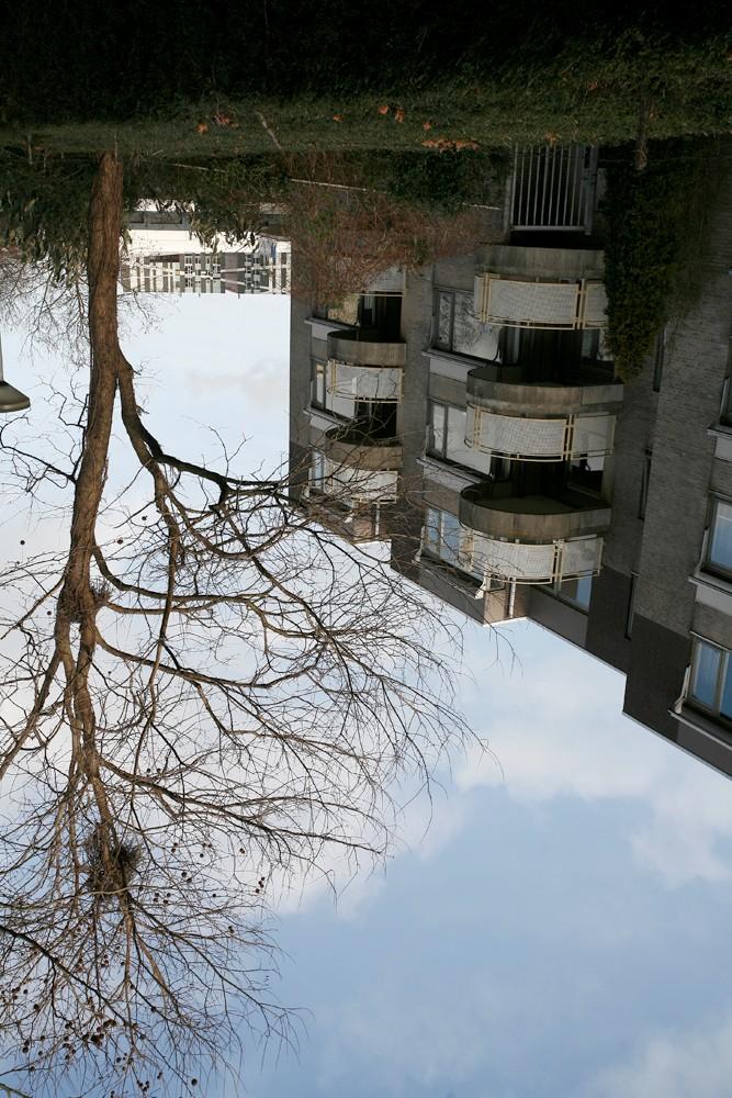 Natuurwaardenonderzoek bestemmingsplan