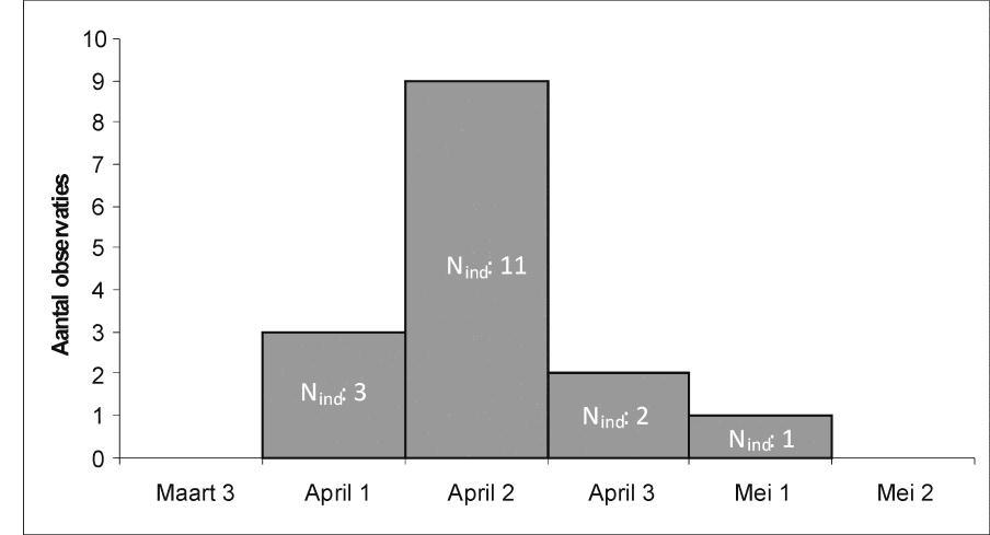 Fig. 1: Verloop van de vliegtijd van P. discimanus in België. De grafiek geeft het aantal waarnemingen per decade. De vermelde aantallen in de grafiek geven het aantal betrokken individuen. Fig.
