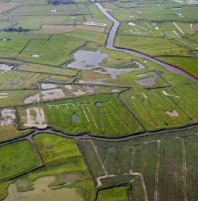 Natuur Landbouw Ecologie