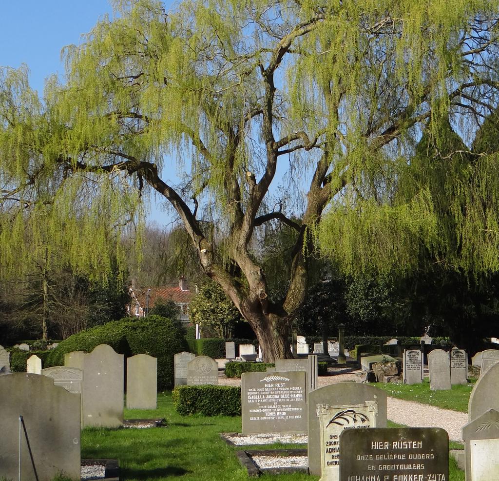 BEGRAVEN EN BIJZETTEN IN DE GEMEENTE