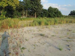 De onderzoekslocatie bevindt zich aan de zuidrand van de bebouwde kom van Rhenen in het uiterwaardengebied. Aan de noordzijde van het Keldermanspad staan woningen.