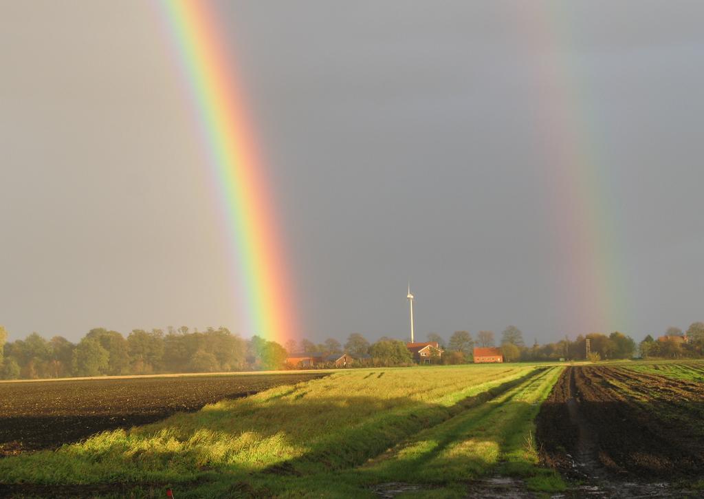 Maandoverzicht neerslag