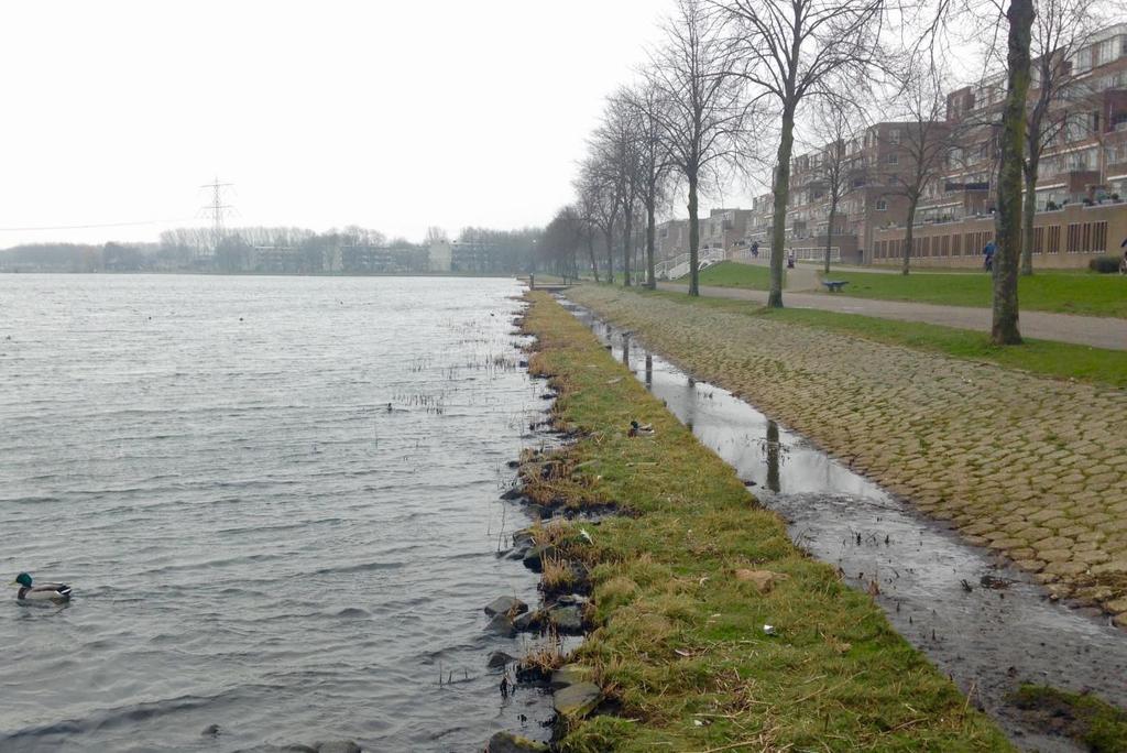 3a. Oeverpromenade De geleidelijk aflopende oever van het