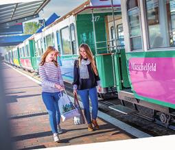 Het vervoer is bij uw bootkaartje inbegrepen. De tijden die in de dienstregeling staan vermeld omtrent de terugreis zijn de tijden dat het treintje of de bus vanaf het station naar de haven vertrekt.