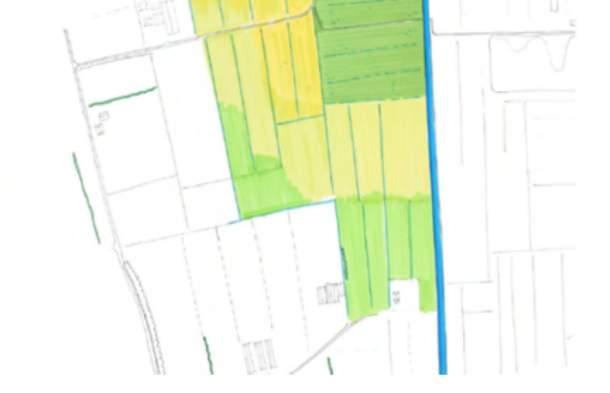 Op de laaggelegen delen komen daarbij vochtige graslandtypen tot ontwikkeling, die richting het dekzand van Sebaldeburen en Lucaswolde geleidelijk overgaan in drogere graslandtypen.