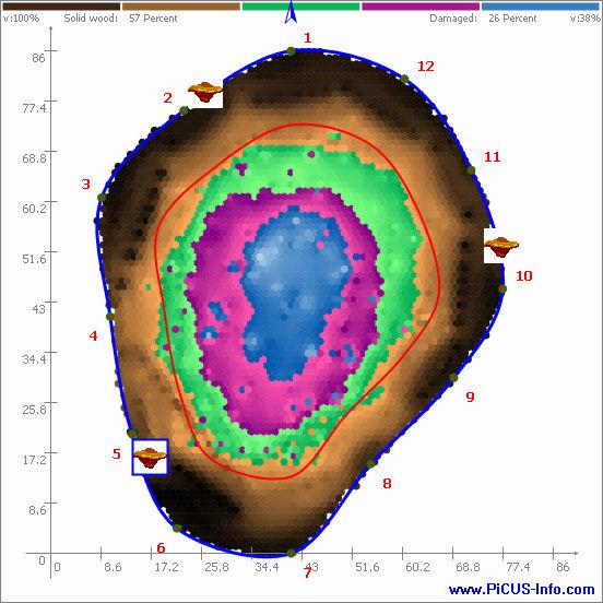 Tomogram: Hoogte tomogram (m) : 0.50 Omtrek t.h.v. tomogram (cm) : 256 Oriëntatie sensor 1: N Noorden bij sensor: 1 Bespreking: Centraal is de boom volledig aangetast door de Dikrandtonderzwam.