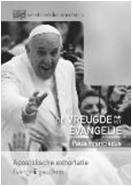 Onze paus roept op vijf krachtlijnen uit de aansporingsbrief Evangelii Gaudium (2013) Missionaire keuze die alles kan omvormen (EG27) Flexibiliteit van de parochie als instituut (EG28) Het