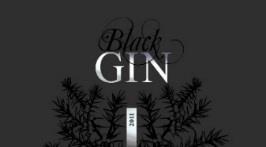 65009 Biercee 'Less is more' 44 70 35,00 34,25 31,65 Bilberry black hearts gin - USA 65259 Bilberry Black hearts organic 45 75 55,35 53,35 50,95 certified organic!