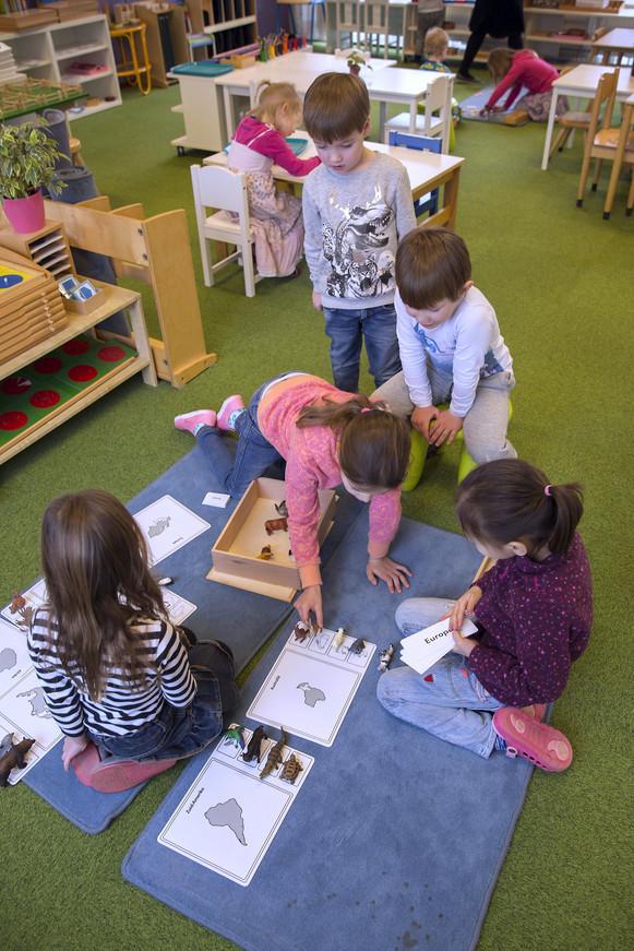 strikte montessorischool, die precies werkt naar de ideeën van Maria Montessori.