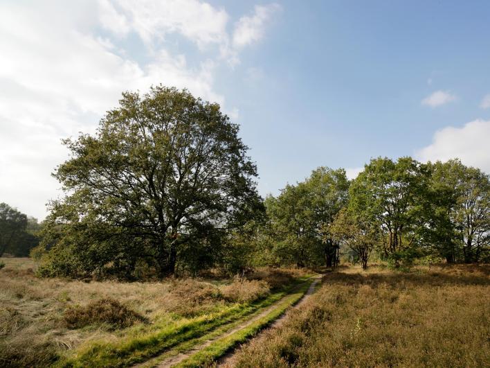 Bijzonder beekje Bijzonder aan deze beek is dat het water niet overal zichtbaar is. Dit komt doordat de gronden op de stuwwal rond de Galgenberg veel grind en zwerfkeien bevatten.