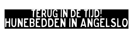 Een hunebed is een andere naam die gebruikt wordt voor stenen grafkamers, uit de Nieuwe Tijd, het Neolithicum, genoemd. Hunebedden komen met name voor in Noord-Nederland en specifiek in Drenthe.