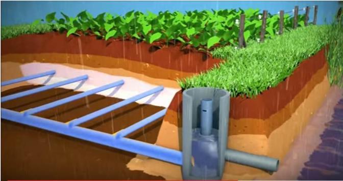 10 Adaptieve maatregelen Sub-irrigatie ( ondergronds beregenen / omgekeerde drainage ) KlimaatAdaptieve drainage Regenwater beter vasthouden Kun je ook water mee
