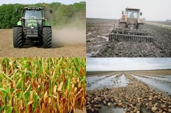7 Adaptieve maatregelen Klimaatverandering en landbouw Temperatuur CO 2 Extreme
