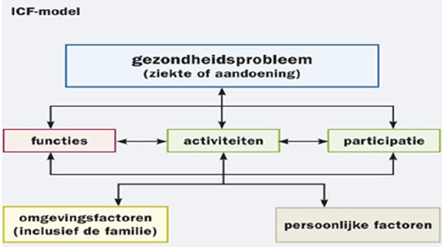 Individueel zorgplan Stephie Lenzen et al.