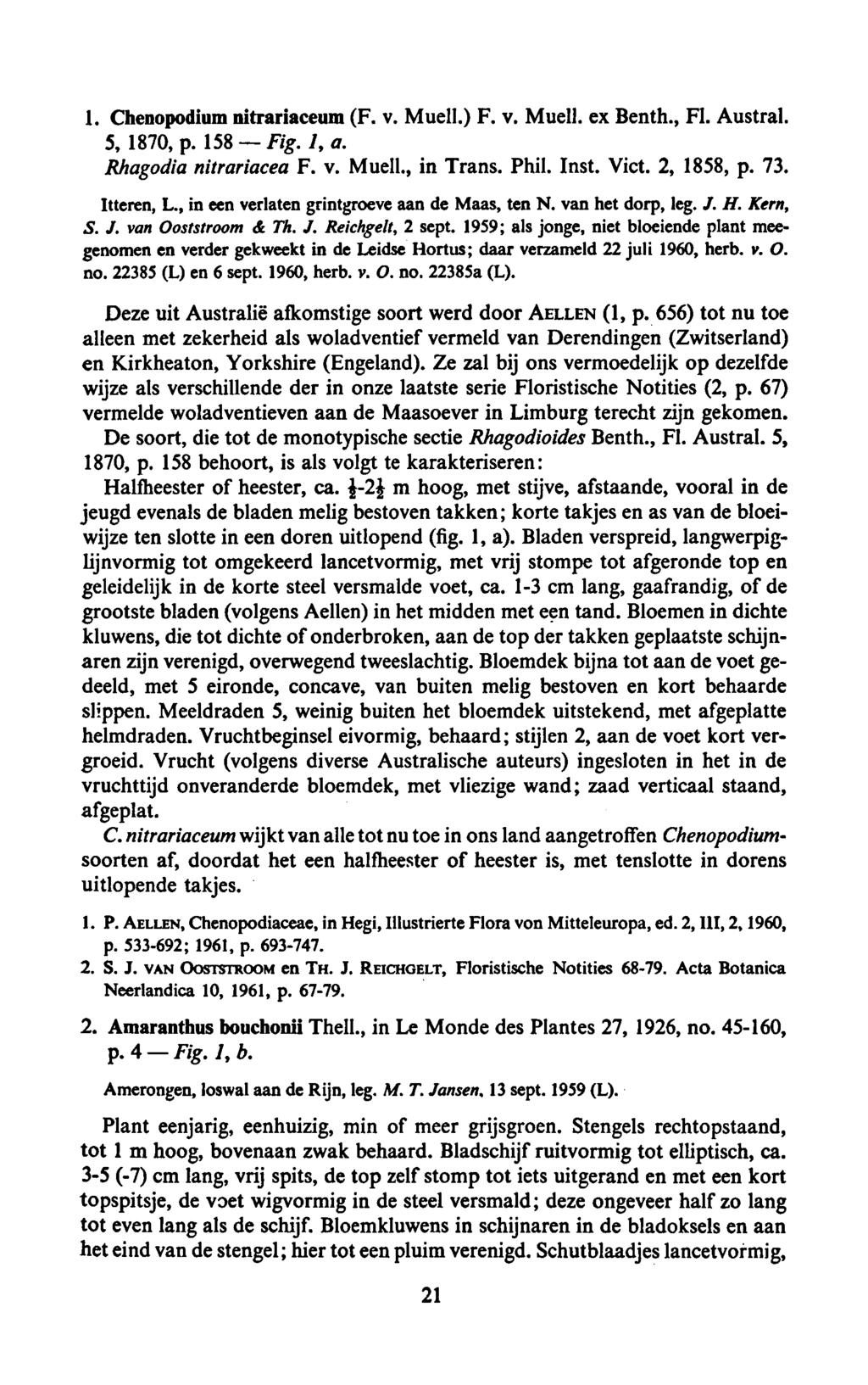 . 1. Chenopodium nitrariaceum (F. v. Muell.) F. Muell. v. ex Benth., Fl. Austral. 5, 158 1870, p. Fig. 1, a. Rhagodia nitrariacea F. v. Muell., in Trans. Phil. Inst. Vict. 2, 1858, p. 73. Itteren, L.