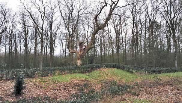 der Veen uut Wolvege, die liekewel as oold-inwoner van Ni jberkoop et dörp op zien doempien kent Het Kanaal legt graeg verbanen tussen vroeger en now, tussen oold en jong; en uteraord heurt daor ok