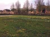 was vroeger het park Lindenoord Vroeger werd daar geschaatst, maar nu is het park weg De leerlingen van groep 8 hebben een kuier gedaan door Wolvege Ze hebben nieuwe gebouwen gezien, maar ze hebben