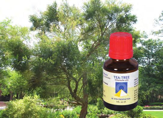 Ontgiften en Suppleren Ondersteunt het herstellend vermogen van de huid De huid voor het slapen gaan insmeren met onverdunde Tea-tree olie.