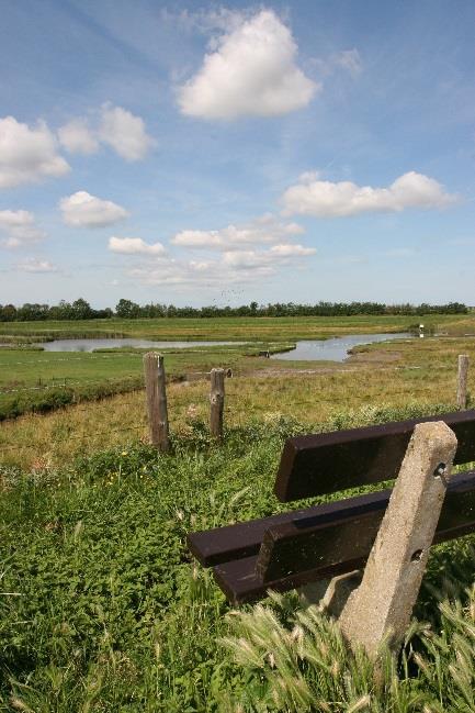 Het samenspel van land, wind en water door de eeuwen heen heeft de natuur op Schouwen- Duiveland een zeer gevarieerd karakter gegeven.