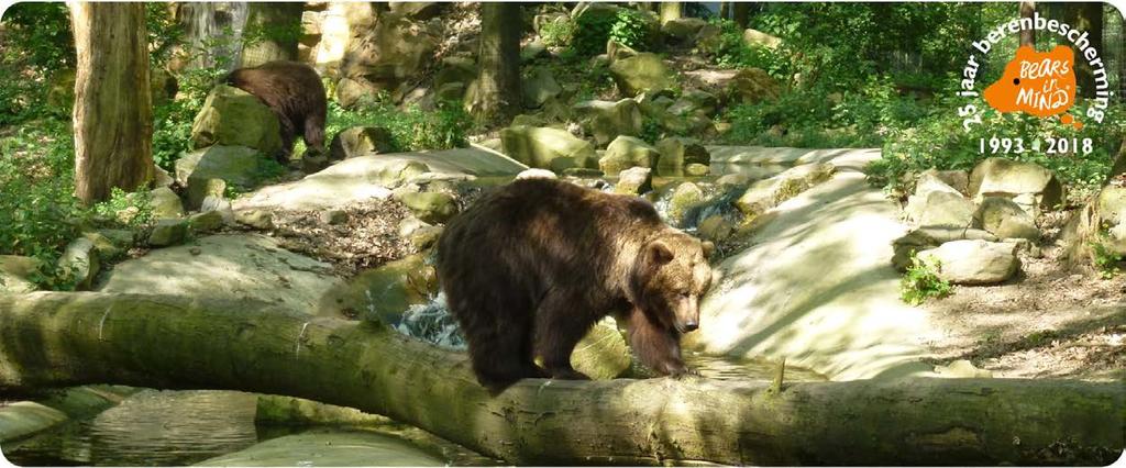 Bears in Mind, stichting voor beren Bears in Mind, bekend van Het Berenbos in Ouwehands Dierenpark Rhenen, beschermt de beer in het wild en helpt de beer in nood.