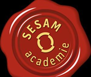 SESAM academie adviseert en ondersteunt maatschappelijke organisaties waar