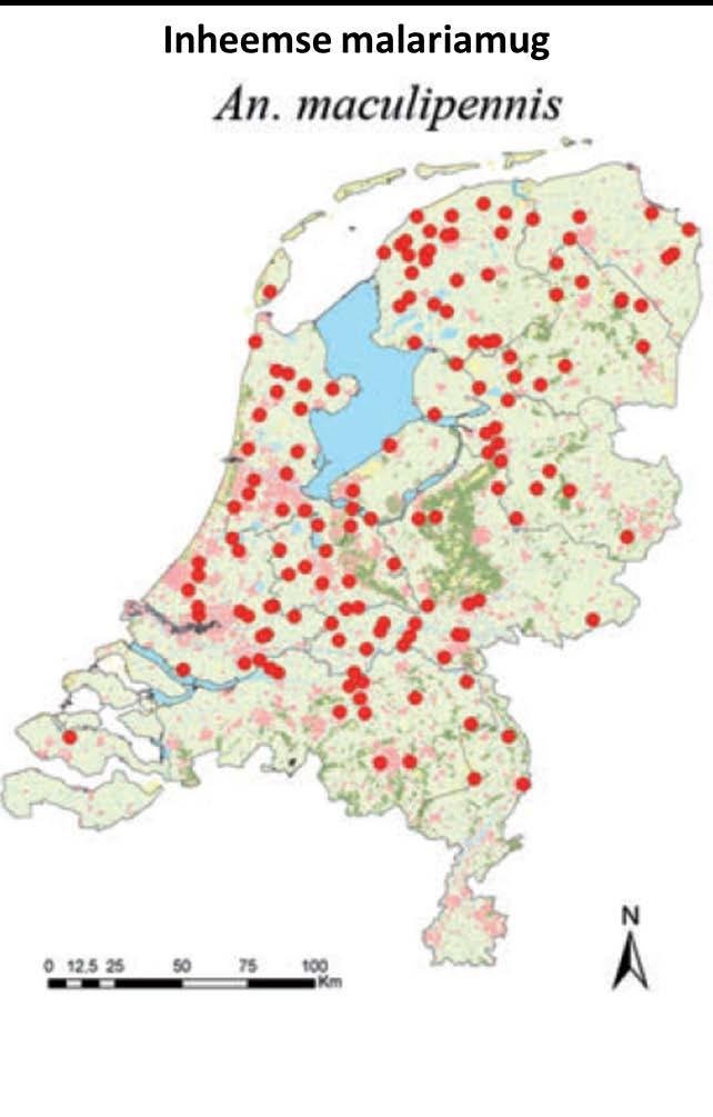 Context voor vector overdraagbare ziektes Context Autochtoon ziektegeval Pathogeen Vector Ziektes in Nederland 1 ziekte van