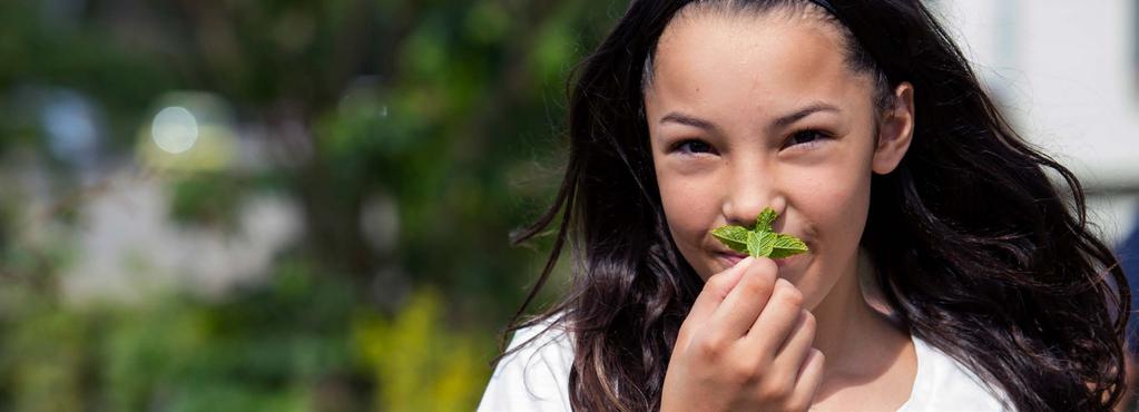 Conclusie Kansen voor ontwikkeling en vitaliteit Steeds meer studies tonen een positief effect van een natuurlijke schoolomgeving op de ontwikkeling van kinderen.