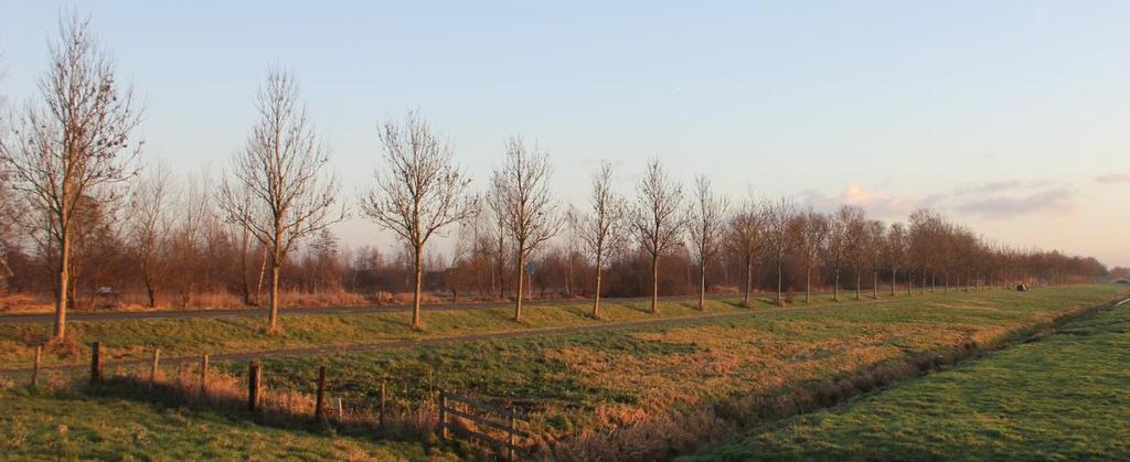 3 Dijkverbeteringsmaatregelen Dit hoofdstuk beschrijft de maatregelen die nodig zijn om de dijk weer aan de veiligheidseisen te laten voldoen. 3.